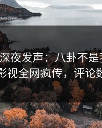 神秘人深夜发声：八卦不是我干的！人人影视全网疯传，评论数破万