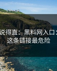 别怪我说得直：黑料网入口：别信｜这条链接最危险