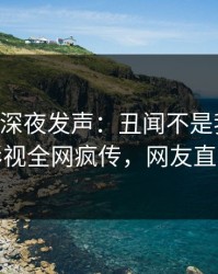 当事人深夜发声：丑闻不是我干的！人人影视全网疯传，网友直呼过瘾
