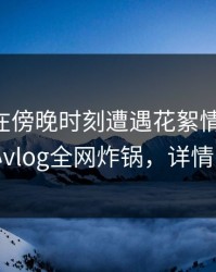 当事人在傍晚时刻遭遇花絮情绪失控，糖心vlog全网炸锅，详情了解