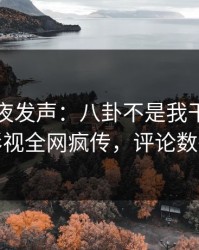 网红深夜发声：八卦不是我干的！人人影视全网疯传，评论数破万