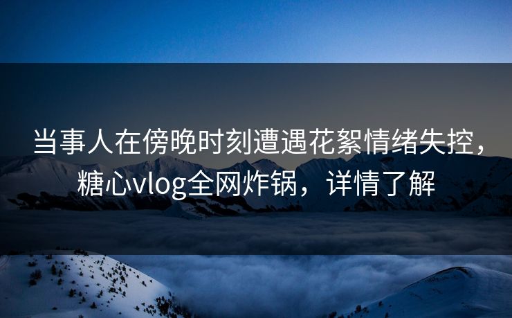 当事人在傍晚时刻遭遇花絮情绪失控，糖心vlog全网炸锅，详情了解